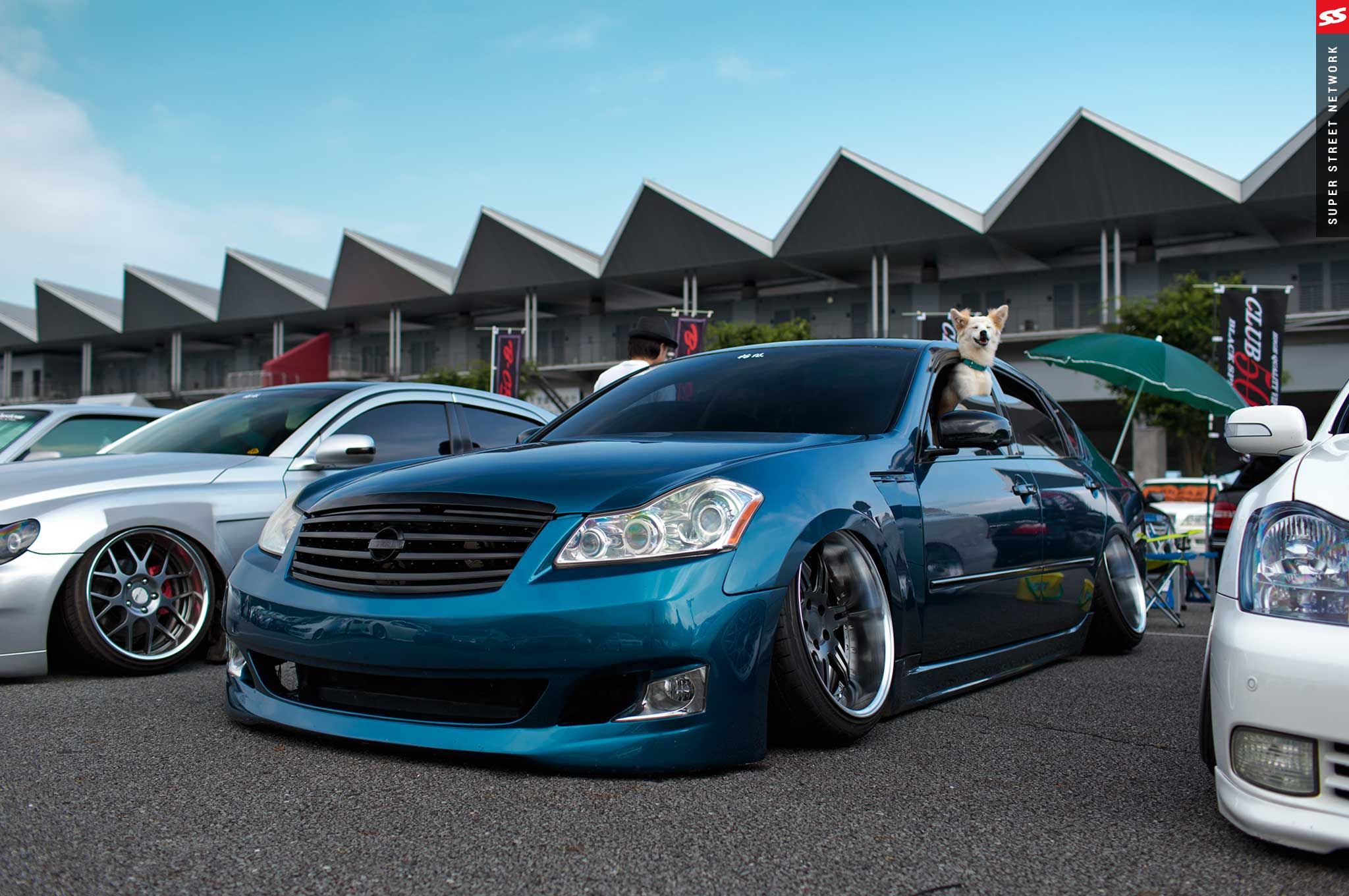 Nissan Fuga y51 на stance